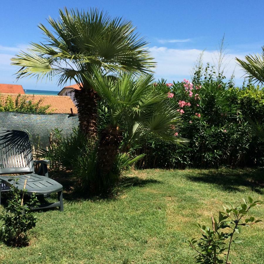Casa "La Conchiglia" Bed and Breakfast Civitanova Marche Exteriör bild
